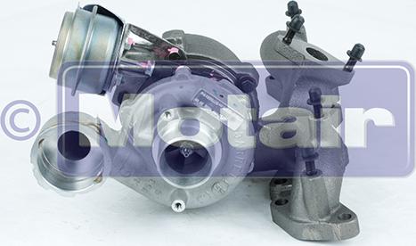 Motair Turbo 335905 - Kompresors, Turbopūte autospares.lv