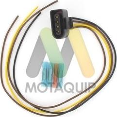 Motaquip LVCL1197 - Plug, coil www.autospares.lv