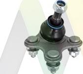 Motaquip LVSJ1189 - Ball Joint www.autospares.lv