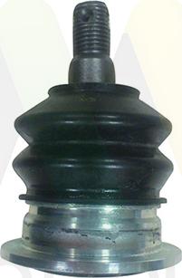 Motaquip LVSJ1256 - Ball Joint www.autospares.lv