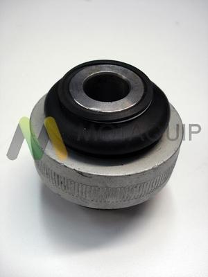 Motaquip LVSK829 - Bush of Control / Trailing Arm www.autospares.lv