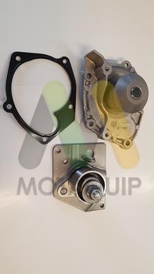 Motaquip LVTTP117 - Ūdenssūknis + Zobsiksnas komplekts www.autospares.lv