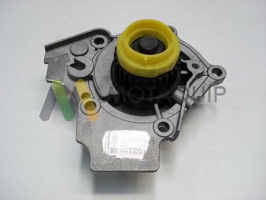 Motaquip LVWP993 - Water Pump www.autospares.lv