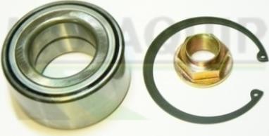 Motaquip VBK1117 - Подшипник ступицы колеса, комплект www.autospares.lv