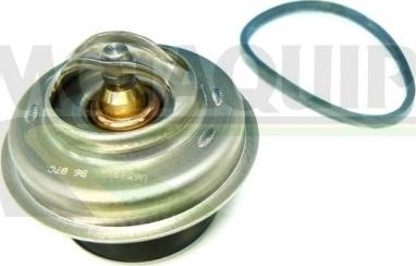 Motaquip VTK21 - Coolant thermostat / housing www.autospares.lv