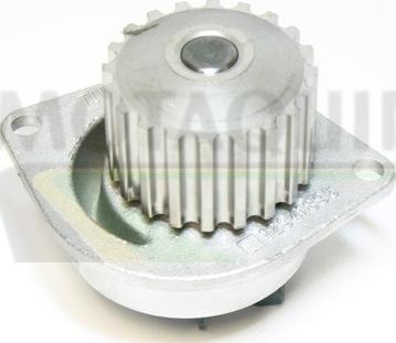 Motaquip VWP522 - Water Pump www.autospares.lv