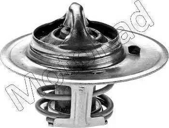 Motorad 241-77 - Coolant thermostat / housing www.autospares.lv