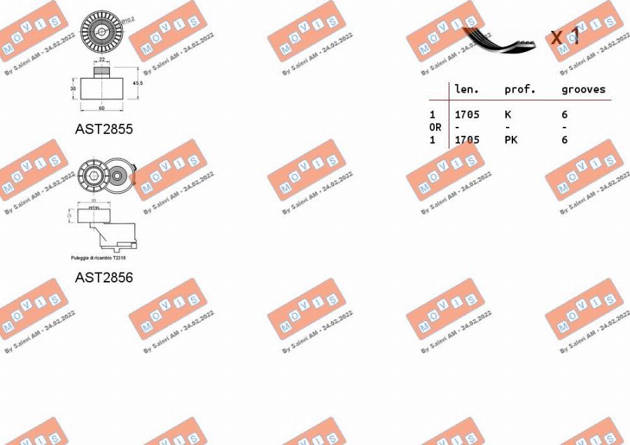 MOVIS ASTA0004 - V-Ribbed Belt Set www.autospares.lv