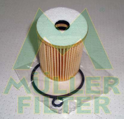 Muller Filter FOP206 - Oil Filter www.autospares.lv