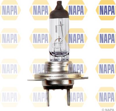 NAPA NBU1477 - Kvēlspuldze, Pamatlukturis www.autospares.lv