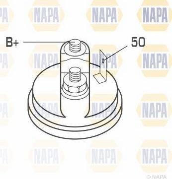 NAPA NSM1247 - Starteris autospares.lv