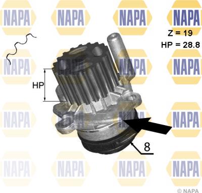 NAPA NWP1045 - Ūdenssūknis www.autospares.lv