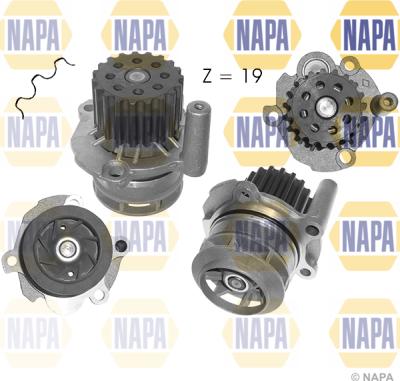 NAPA NWP1062 - Ūdenssūknis www.autospares.lv