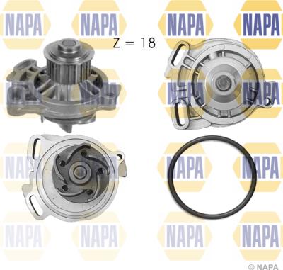 NAPA NWP1015 - Ūdenssūknis www.autospares.lv