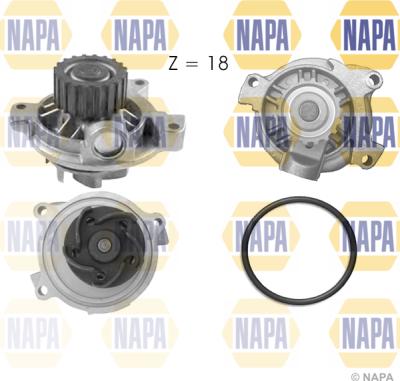 NAPA NWP1016 - Ūdenssūknis www.autospares.lv