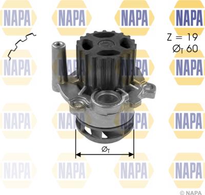 NAPA NWP1031 - Водяной насос www.autospares.lv