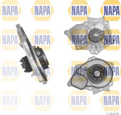 NAPA NWP1076 - Ūdenssūknis www.autospares.lv