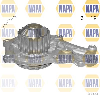 NAPA NWP1143 - Водяной насос www.autospares.lv