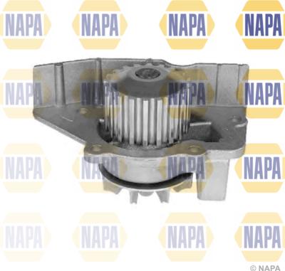 NAPA NWP1135 - Ūdenssūknis autospares.lv