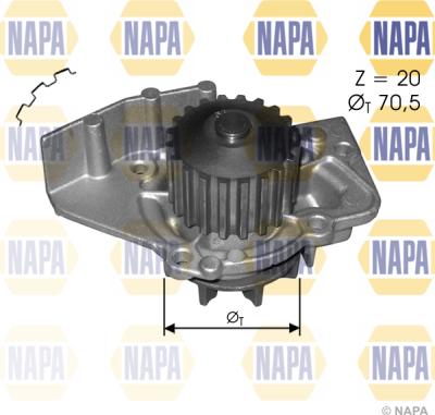 NAPA NWP1136 - Ūdenssūknis www.autospares.lv