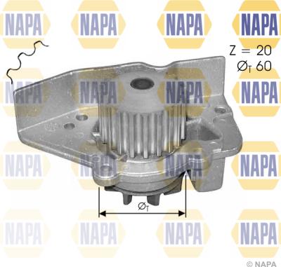 NAPA NWP1391 - Ūdenssūknis www.autospares.lv