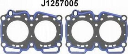 Nipparts J1257005 - Blīve, Motora bloka galva www.autospares.lv