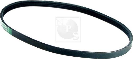 NPS D111O01 - Поликлиновой ремень www.autospares.lv