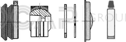 OCAP 0907487 - Remkomplekts, Balstiekārtas svira www.autospares.lv