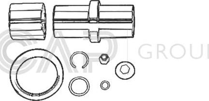 OCAP 0927438 - Repair Kit, kingpin www.autospares.lv