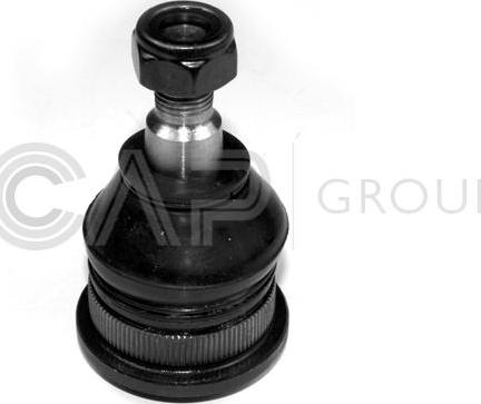 OCAP 0404454 - Ball Joint www.autospares.lv