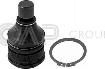 OCAP 0404428 - Ball Joint www.autospares.lv