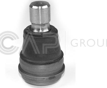 OCAP 0403252 - Balst / Virzošais šarnīrs www.autospares.lv