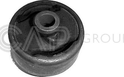 OCAP 1215321 - Bush of Control / Trailing Arm www.autospares.lv