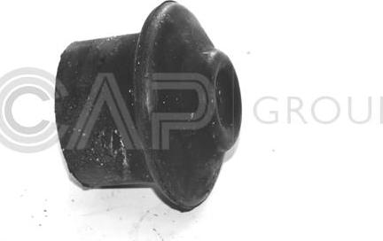 OCAP 1225003 - Spilvens, Motora piekare www.autospares.lv