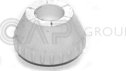 OCAP 1225016 - Spilvens, Motora piekare www.autospares.lv