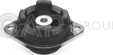 OCAP 1225013 - Piekare, Dzinējs www.autospares.lv