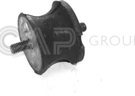 OCAP 1225101 - Piekare, Dzinējs www.autospares.lv