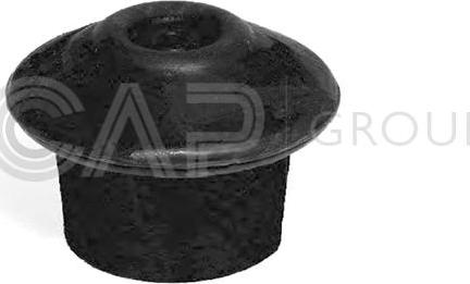 OCAP 1225893 - Spilvens, Motora piekare www.autospares.lv