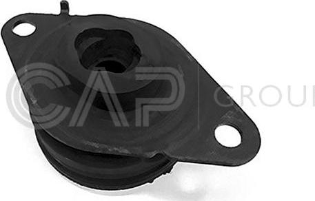 OCAP 1226142 - Piekare, Dzinējs www.autospares.lv