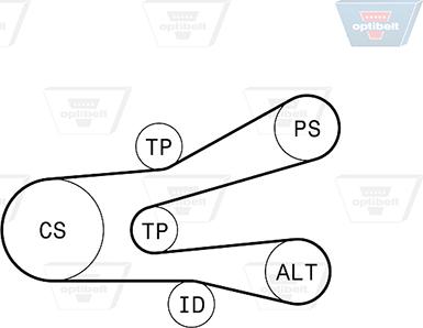 Optibelt 6 PK 1440KT1 - Ķīļrievu siksnu komplekts www.autospares.lv