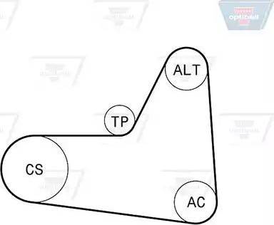 Optibelt 6 PK 1045KT2 - Ķīļrievu siksnu komplekts www.autospares.lv