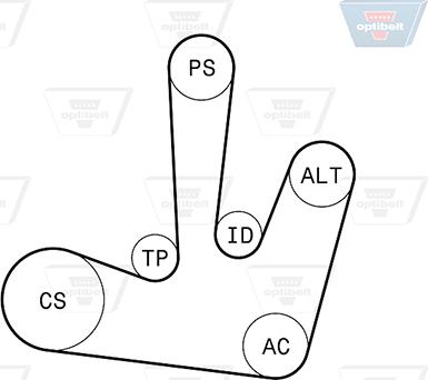 Optibelt 6 PK 1795KT1 - Ķīļrievu siksnu komplekts www.autospares.lv