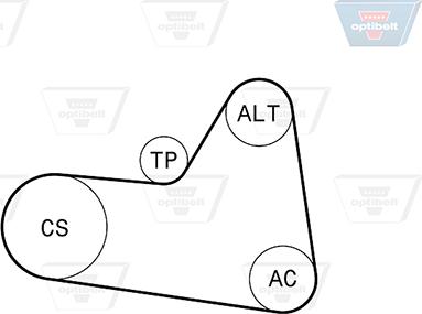 Optibelt 6 PK 1710KT1 - Ķīļrievu siksnu komplekts www.autospares.lv