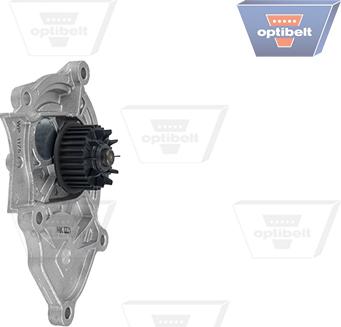 Optibelt WP 1175 - Ūdenssūknis www.autospares.lv