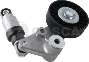 OSSCA 61169 - Pulley, v-ribbed belt www.autospares.lv