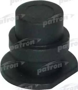 Patron P16-0018 - Sealing Plug, coolant flange www.autospares.lv