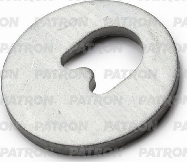 Patron PBLT020 - Caster Shim, axle beam www.autospares.lv