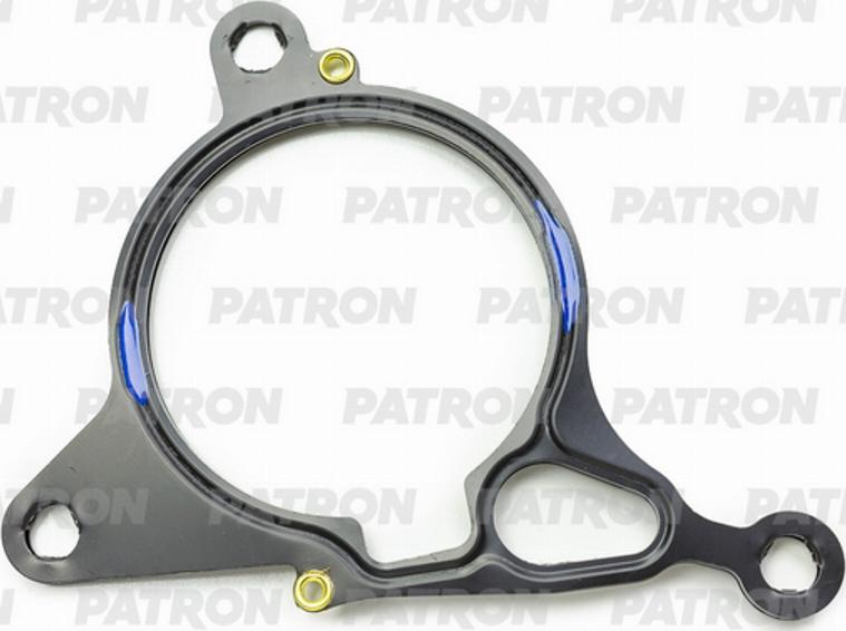 Patron PG3-0069 - Blīve, Vakuumsūknis www.autospares.lv