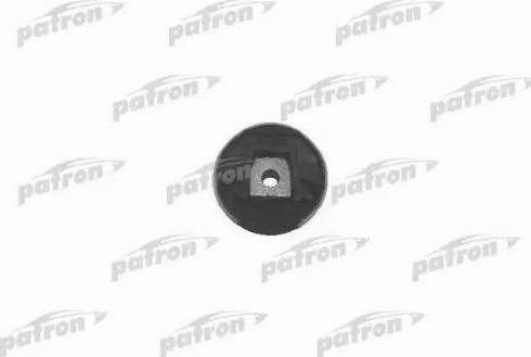 Patron PSE3401 - Piekare, Dzinējs www.autospares.lv