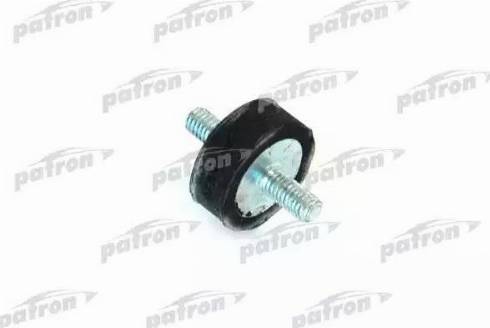 Patron PSE3043 - Piekare, Radiators www.autospares.lv